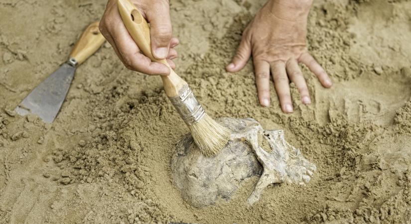 Megdöbbentő dolog derült ki a neandervölgyiekről – a régészeket is meglepte a felfedezés