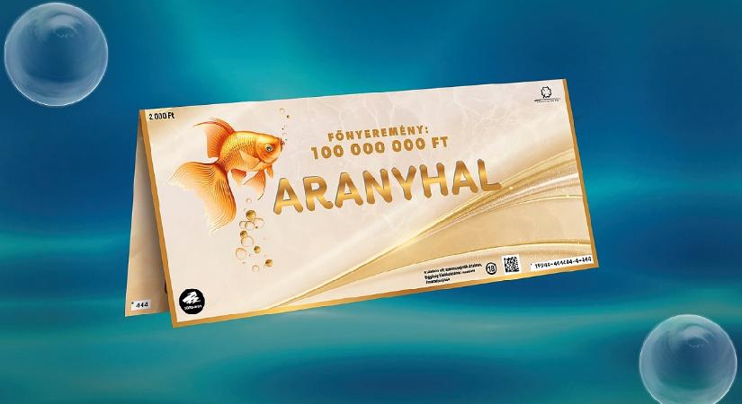 Még tó sem kell a százmilliós aranyhalhoz
