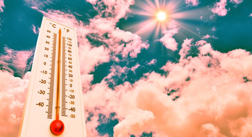 Hogyan érinti a kánikula a szívet, a szívbetegeket?