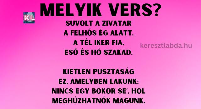 Napi irodalom feladat: Felismered a verset?