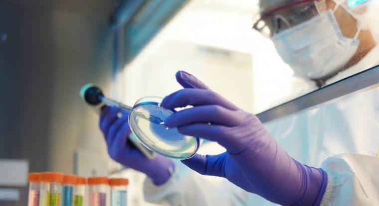 Magyar technológiai áttörés a biotechnológiában