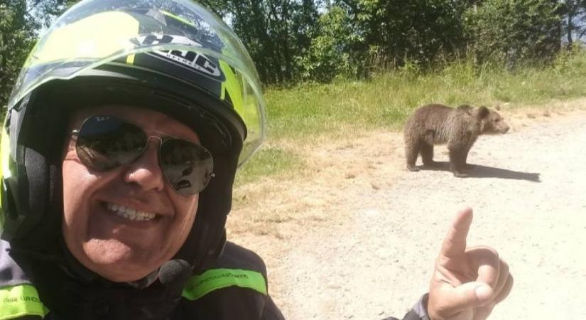 Barnamedvét akart etetni Romániában: a saját halálát vette videóra a motoros - Videó