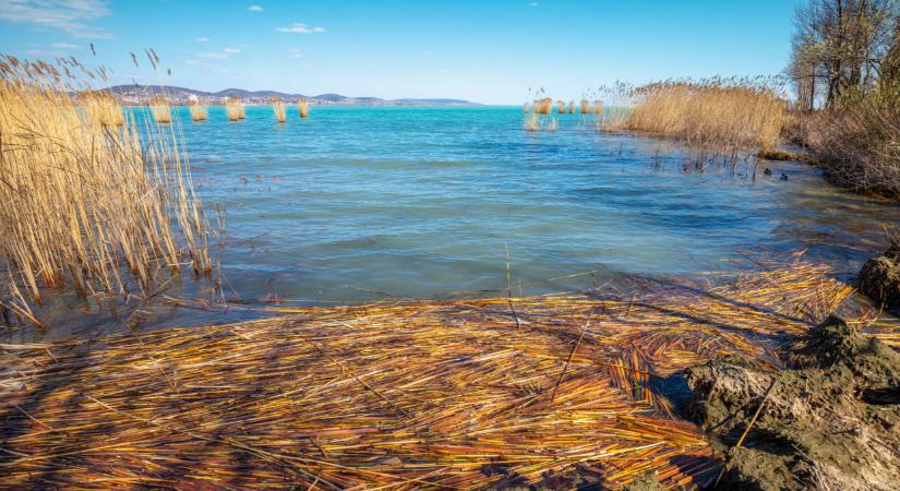 Óriási a baj a Balaton vizével: erről mindenki tudjon, aki oda menne nyaralni