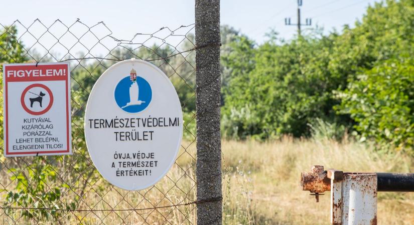 Még nagyobb lett a város helyi védettségű területe: a Sóstó „hízott” tovább