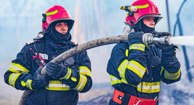 Kigyulladt egy repceültetvény Nagykároly környékén – a forgalmat is akadályozza