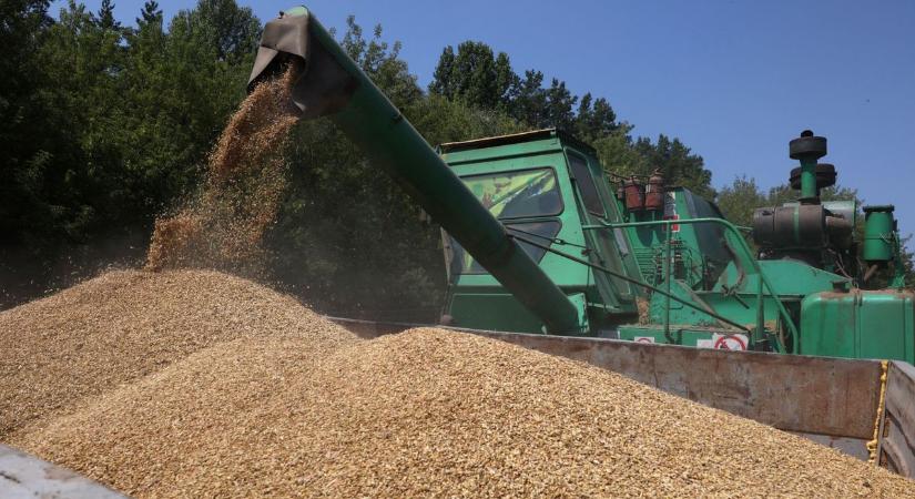 Kiderült, hogy mennyivel nőttek az uniós kvóták az ukrán agrártermékeknél