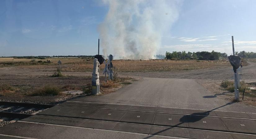 Munka közben gyulladt ki egy kombájn, fa villanyoszlopokat is veszélyeztetett a tűz – képekkel
