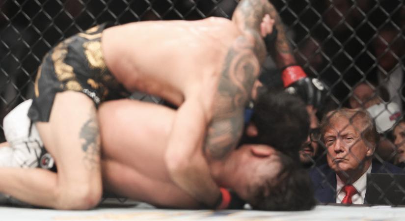 A Fehér Házba szervezne UFC-viadalt Trump az amerikai függetlenség 250. évfordulójának alkalmából