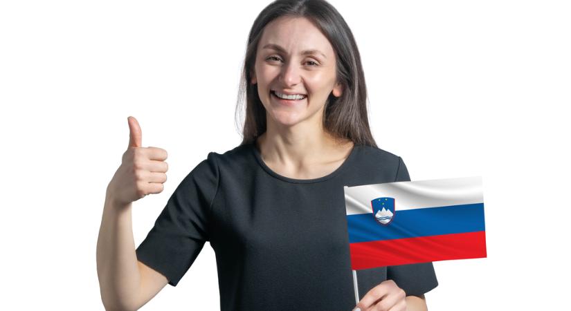 A legnagyobb szlovén kormánypárt népszavazást kezdeményez a NATO-tagságról