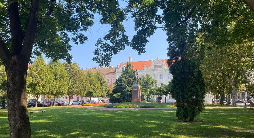 Veszélyes rovar bukkant fel a városban: nem hat ellenük a riasztó, pedig életveszélyes lehet a csípésük