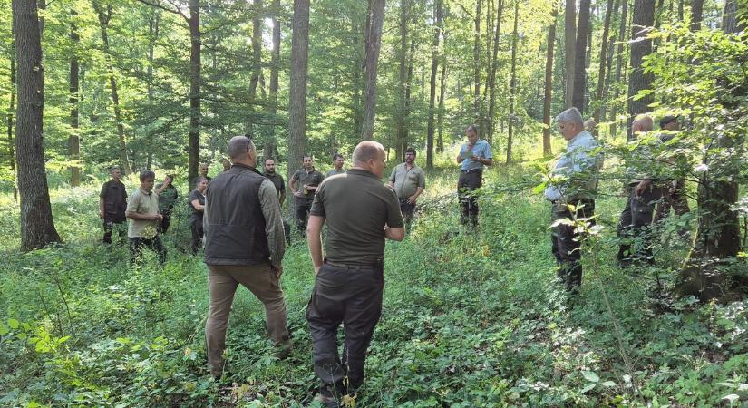 A klímaváltozás kihívásait tárgyalták az erdőgazdálkodók