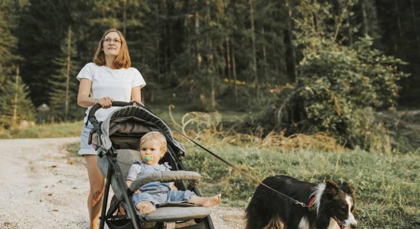 Babakocsival is járható túraútvonalat keresel? Ezt a három-négy éves is simán végigcsinálja
