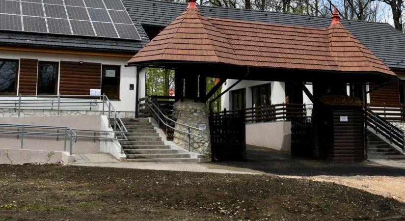 Édes hármas a Miskolci Állatkertben (fotók)