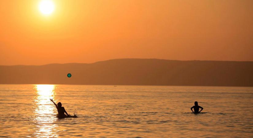Halszörny dugta ki a óriási testét a Balatonból, a kamerás keze is beleremegett a látványba?