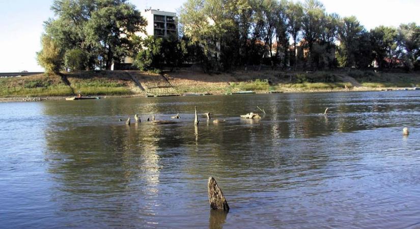 Újra előbukkant a fahíd a Tisza szolnoki szakaszán