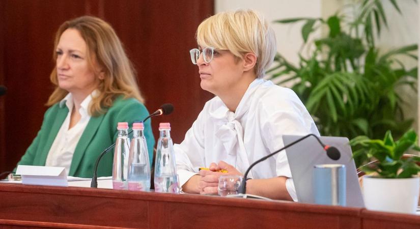 Sakkban tartja a képviselőit Magyar Péter