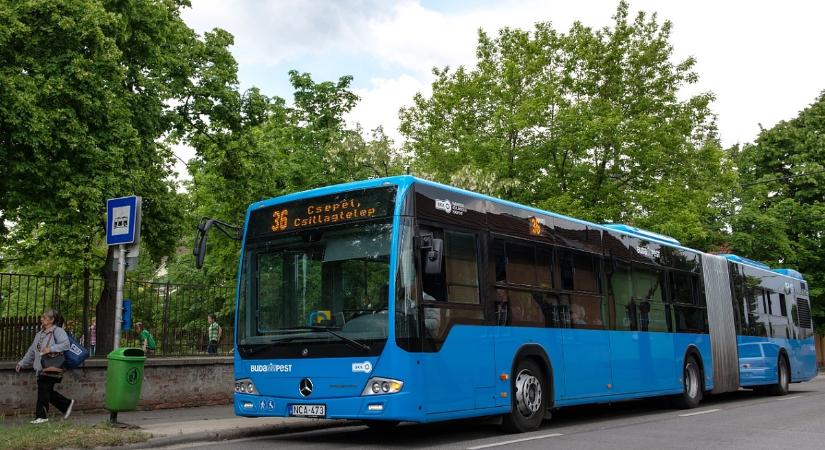 Jó tudni erről: ingyenes lesz a buszozás ezen a szakaszon
