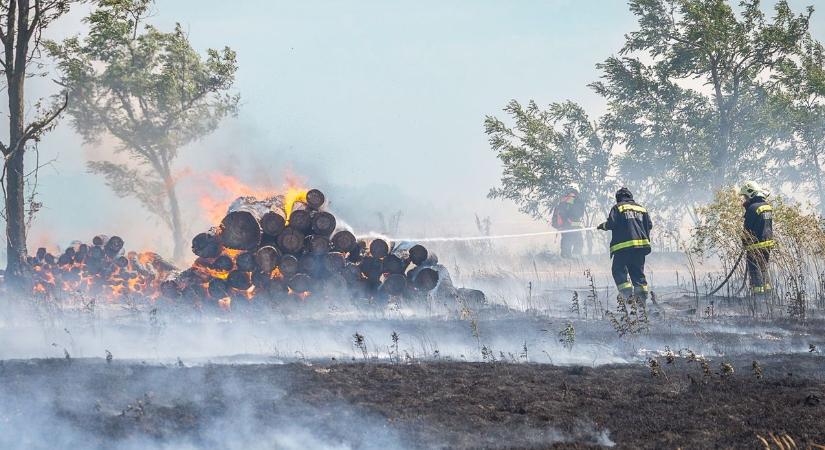Kigyulladt 100 köbméter fa, óriási lángokkal küzdenek a tűzoltók