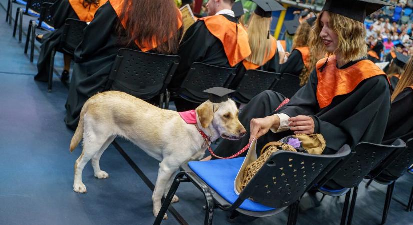 Egy segítőkutya is oklevelet kapott a MATE Kaposvári Campus diplomaosztóján