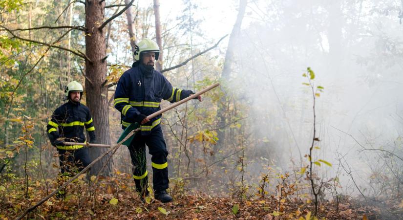 Lángra kapott az erdő aljnövényzete, 15 hektáron pusztít a tűz