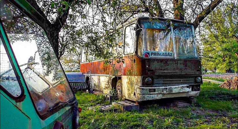 Óriási magyar busztemetőt találtak, a tiltott helyen a kamera különös dolgot szúrt ki