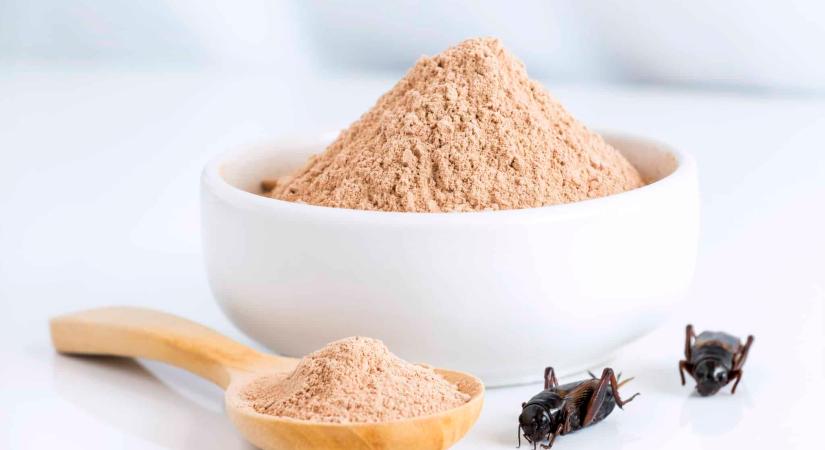 Nem valószínű, hogy a rovarok lesznek a jövő superfoodjai
