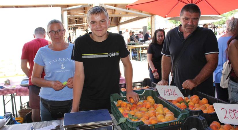 „Olyan ez, mintha meghalna a gazda” – a jégkár tönkreverte az évet