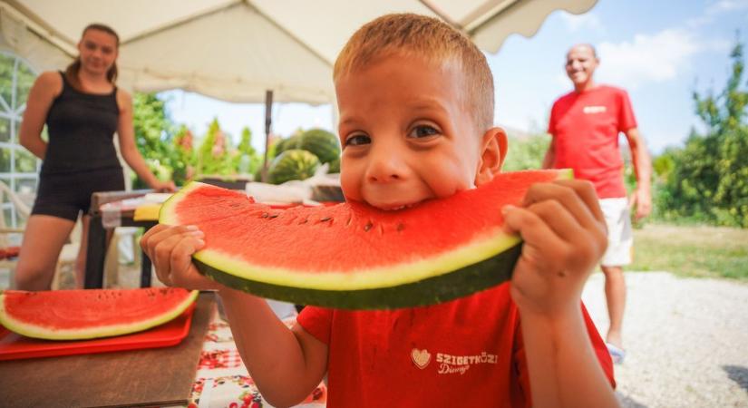 Papíron már sok a magyar dinnye az árusoknál, néha azonban lutri, mit is veszünk valójában