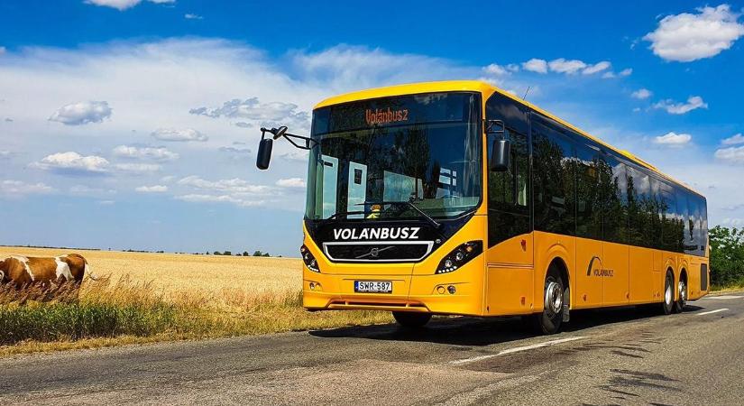 Súlyos baleset: árokba borult egy busz a 442-es főúton