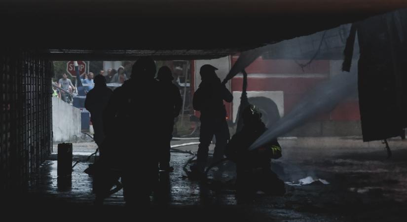Amikor a disznó is életben marad, a garázs sem robban fel