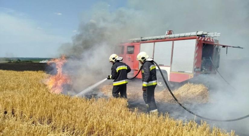 Tizenegy hektáron égett a tarló Mesteri külterületén