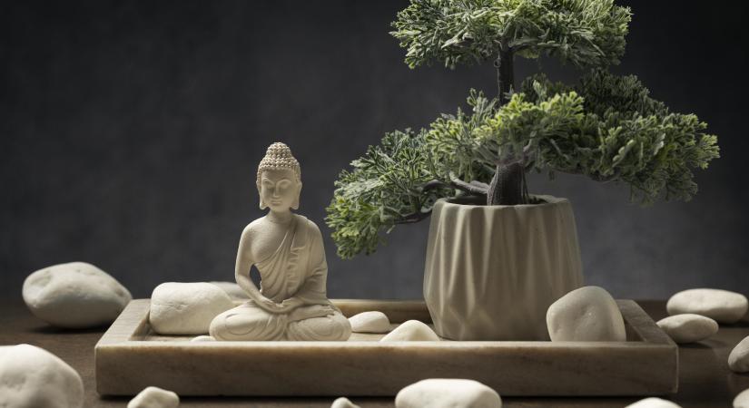 Ezek a leghatásosabb pénzhozó növények a Feng Shui szerint