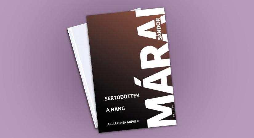 Minden áldott este az utca szeme láttára szeretkezett egy francia pár