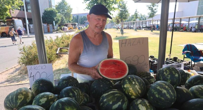 Megjelent a hazai dinnye a pécsi piacon – az ormánsági gyümölcsnek nincs párja (GALÉRIA)