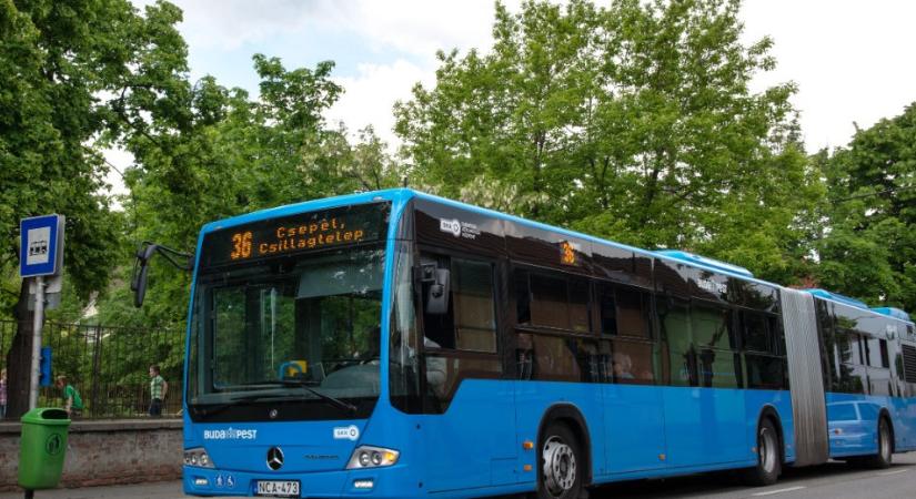 Ne vegyen jegyet: ingyen lehet utazni a BKK egyes járatain