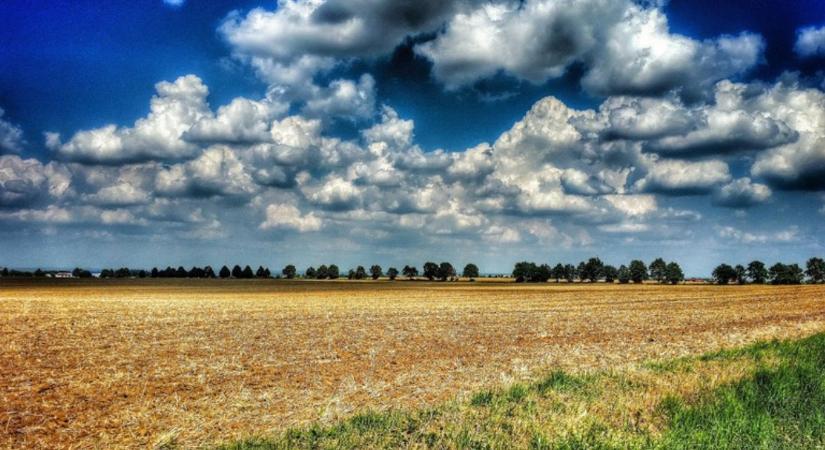 Ne hagyd fedetlenül! Így rombolja a nap a talajtakarás nélküli földeket