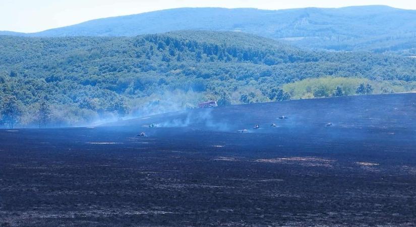 Lángtenger pusztít egy mezőgazdasági területen