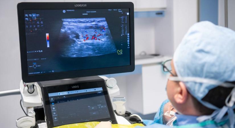 Legelismertebb szakmák, leglenézettebb foglalkozások: ezek végeztek az élen