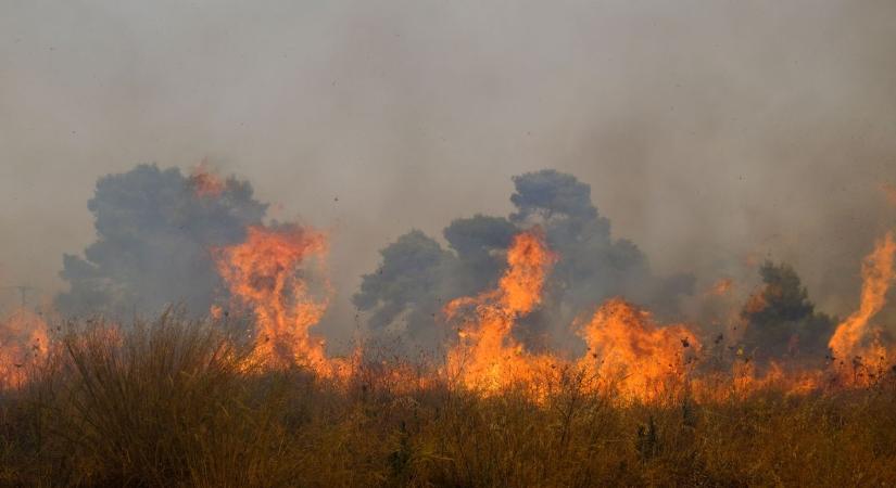 Mórahalom mellett csaptak fel a lángok, továbbra is küzdenek a tűzoltók a vármegyében