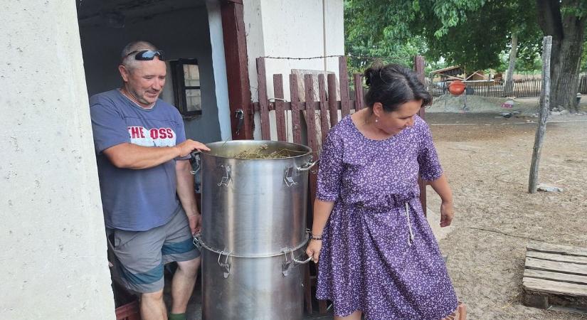Nemcsak illatos, meglepő dolgokra is használható a levendula – Vass Rózsa most lerántja a leplet