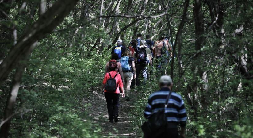 Nagy bajba került egy túrázó, a tűzoltók és a mentők szirénázva vonultak a helyszínre
