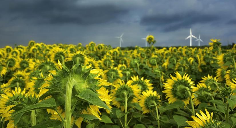 Hiányos szemlélet hátráltatja a globális zöldátmenetet
