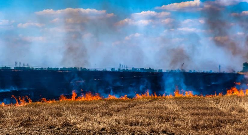 Lángokban a határ: több vármegyében is szabadtéri tüzeket oltottak