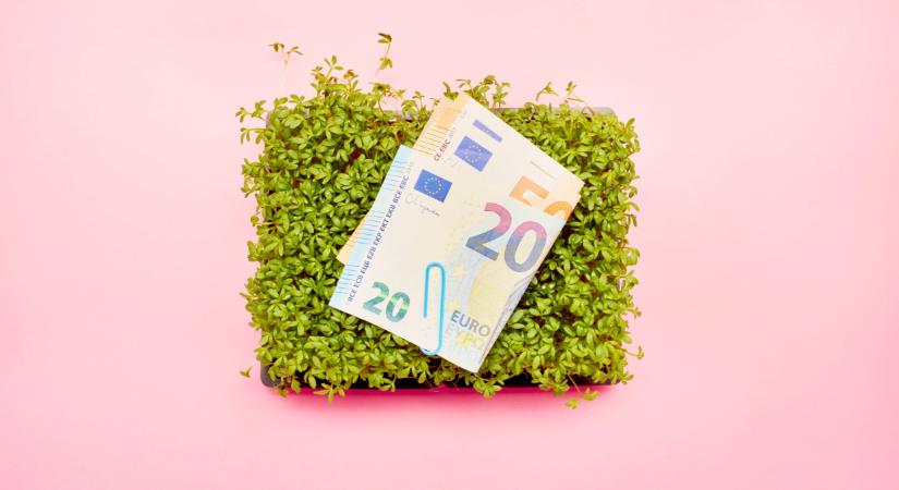 Újabb fordulat az agrártámogatásokban - most már biztos a csökkentés?