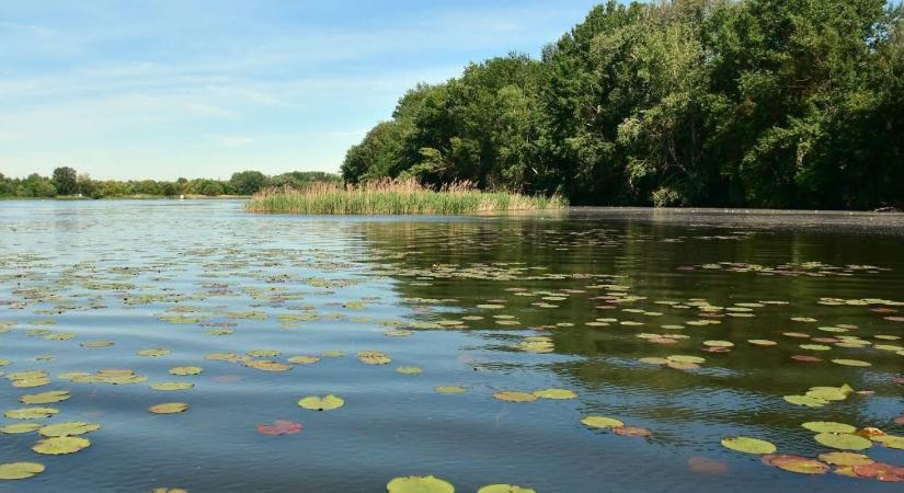 Ha nem jön eső, leengedik a Tisza-tavat