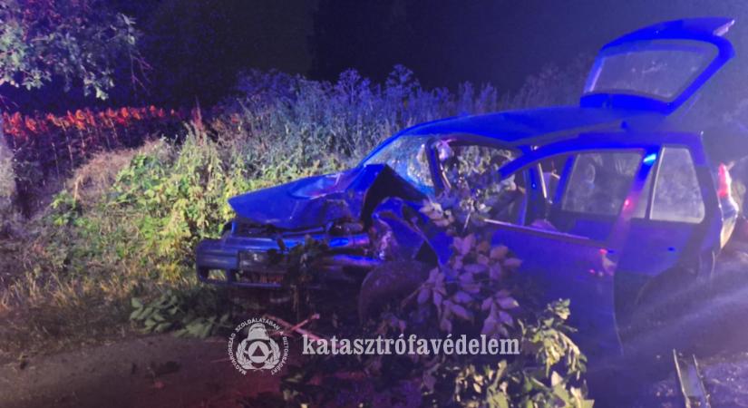 Fának csapódott egy gépjármű Tiszaföldvárnál