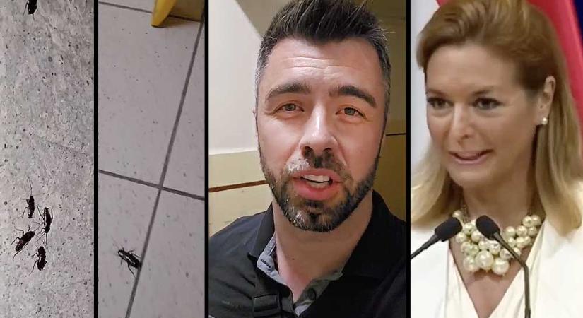 Csótányok hemzsegnek a Péterfy kórházban: Kulja András videón mutatja meg Vitályos Eszternek, hogy nem az ő lakásában szaladgálnak a rovarok