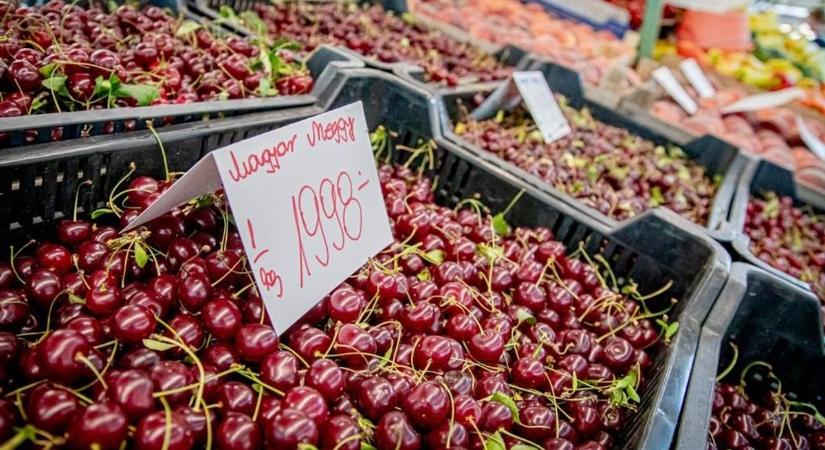 Elszabadultak a gyümölcsárak Borsodban, eldobja az agyát, milyen különbséget találtunk!