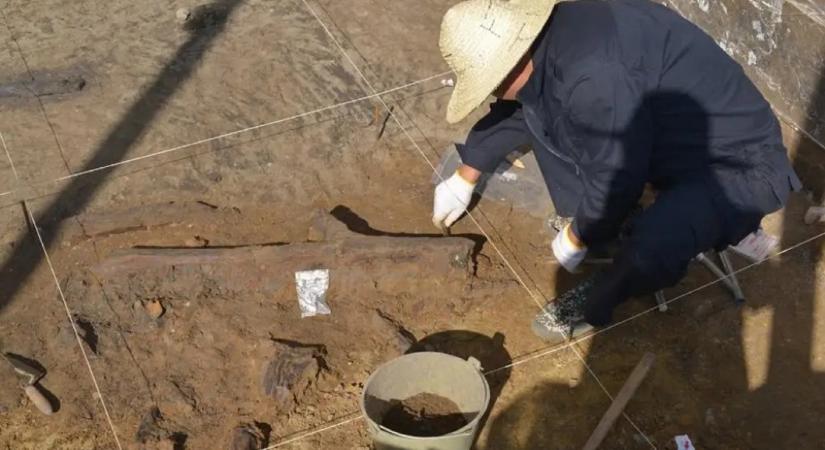 300 ezer éve egy rejtélyes civilizáció fából faragott szerszámokkal takarította be a termést Kelet-Ázsiában