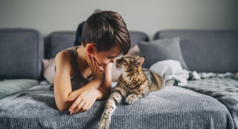 Ezzel az egy mozdulattal boldogabbá tehetjük a macskánkat